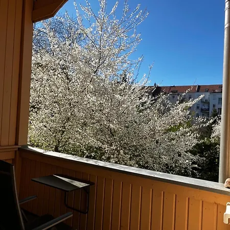 Stilvolles Quartier In Zentrumsnaehe Homestay *